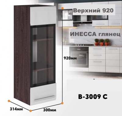 inessa NEW_v_3009s_3